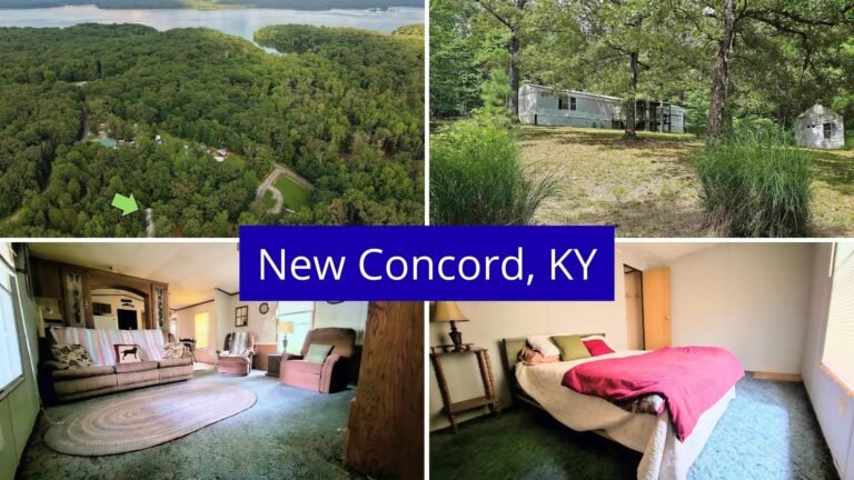 Dirt-Cheap farmhouses in USA (New Concord, Kentucky)