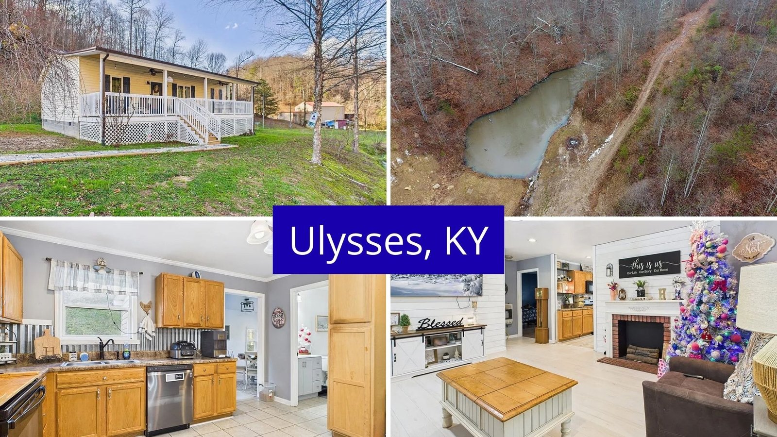 DIRT-CHEAP FARMHOUSES IN USA (Ulysses, Kentucky)