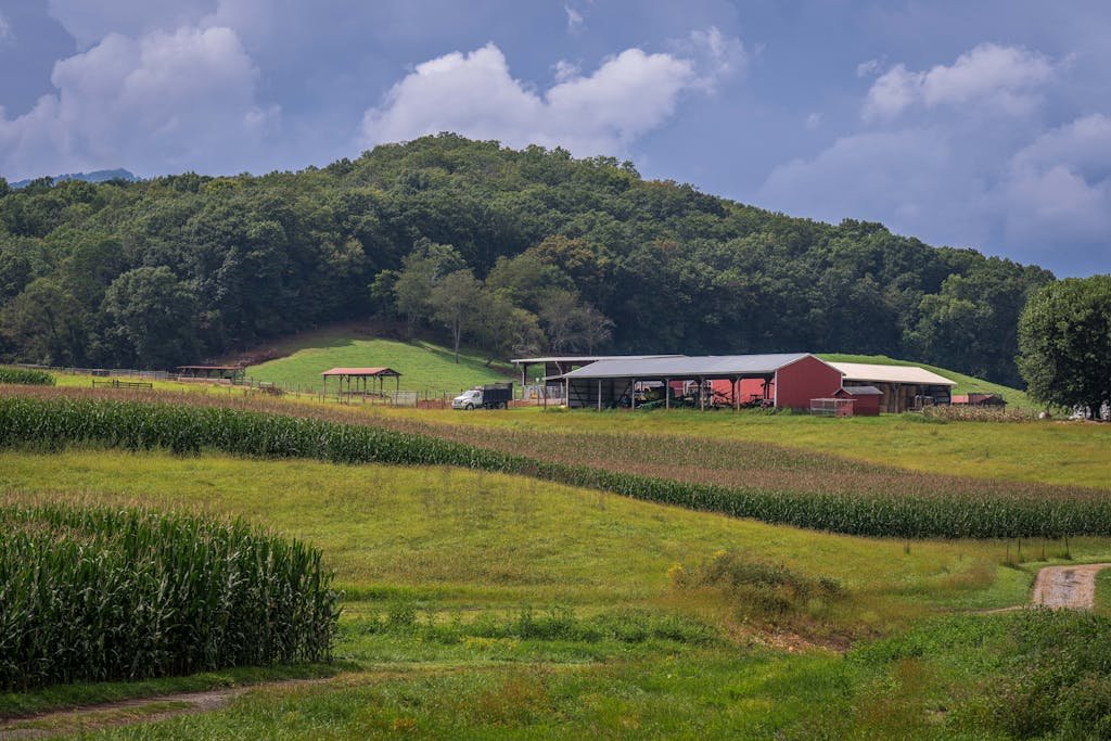 Rolling farmland with a red barn and standing corn below wooded hills