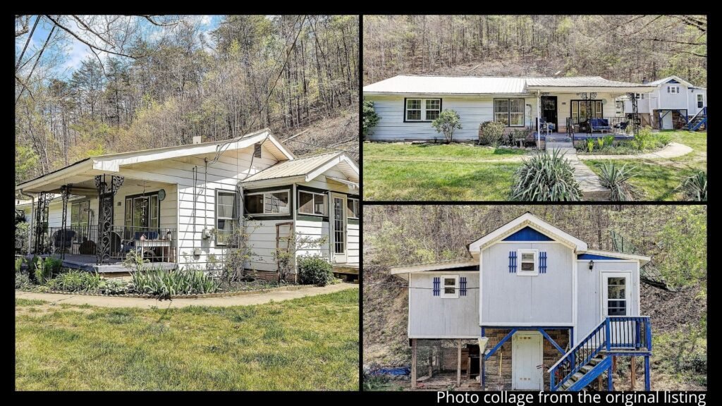 land near Covington Virginia with fruit trees, garden space, garage, spring water, and private acreage