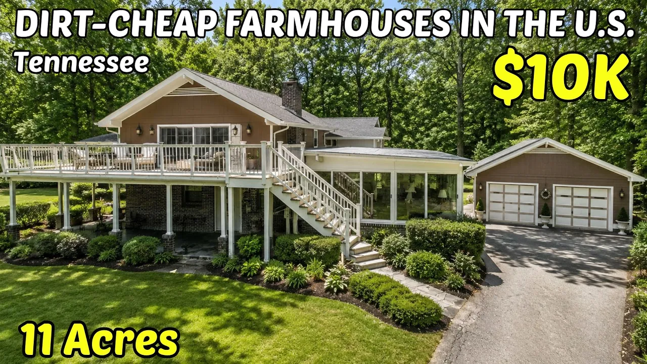 Digital illustration of a rural Tennessee farmhouse, cover image for "Best Counties in Tennessee for Homesteading: What Land Really…"