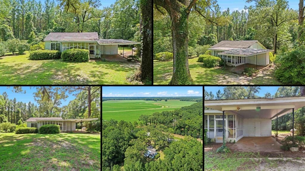 Exterior and land of a rural property for sale in Jay Florida — 4.5 acres under towering oaks with fruit trees, a carport and a brick-floored screened porch