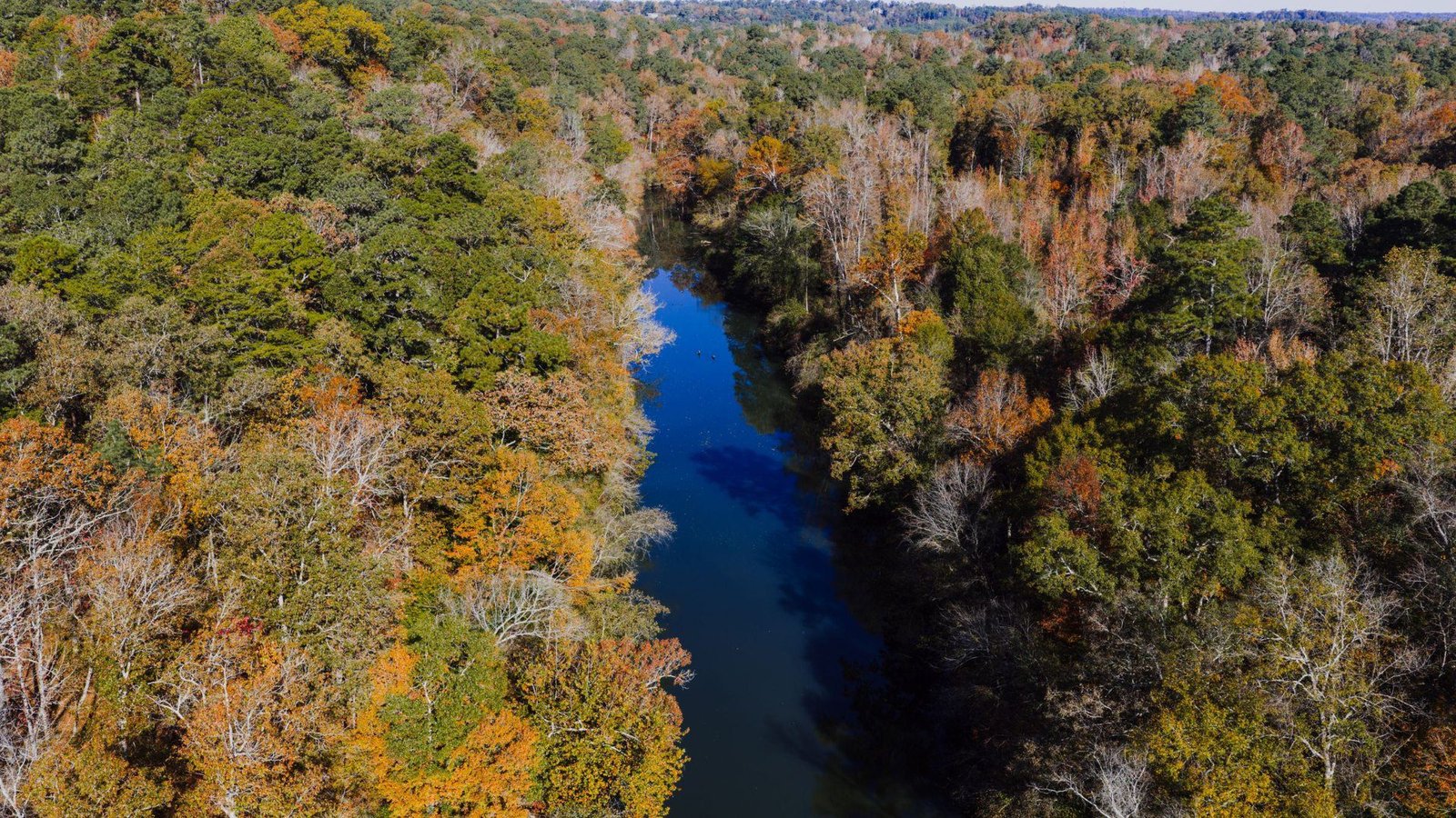 Aerial view of a river winding through pine and hardwood forest in fall near Birmingham, Alabama