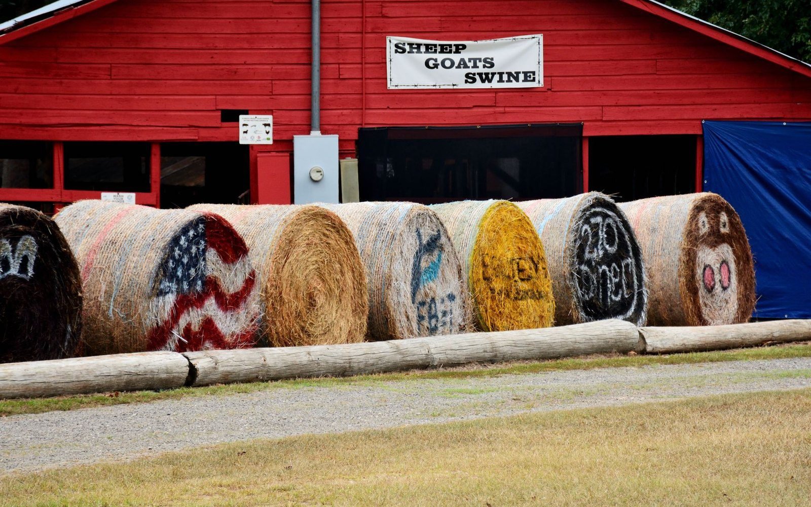 Painted round hay bales lined up outside a red livestock barn at a rural Arkansas fairground