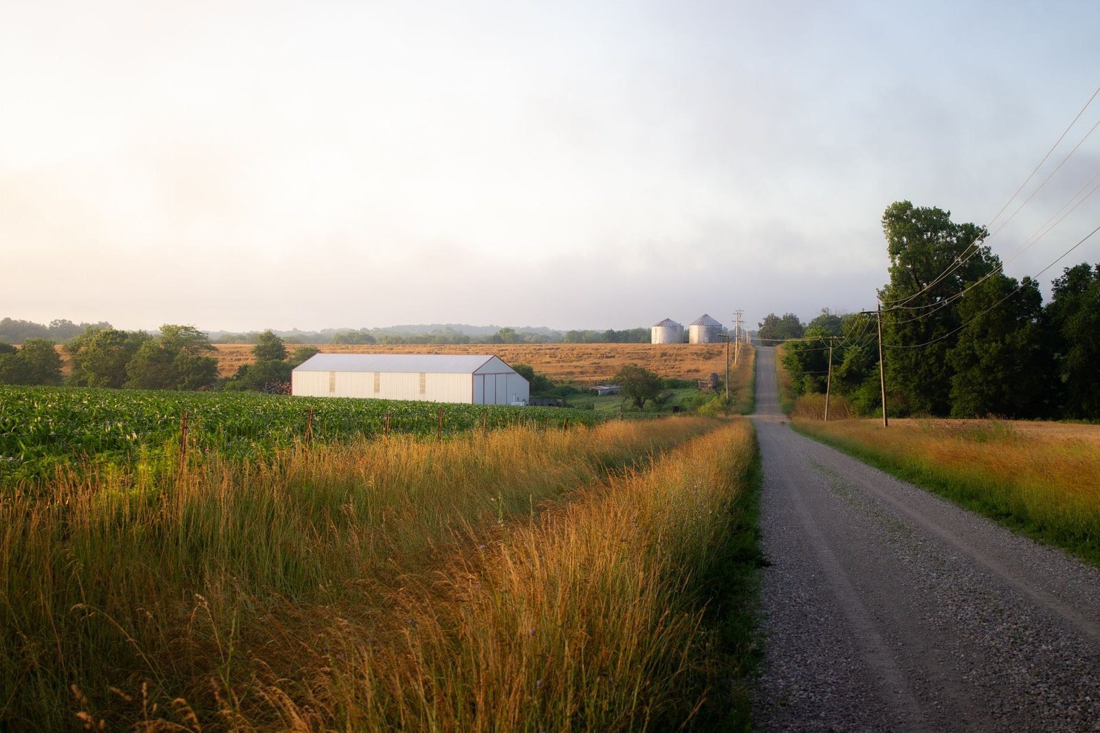 Gravel county road at sunrise in rural Arkansas with wooden power poles and grain bins