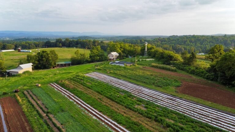 Aerial view of green pasture and farm buildings in the rural South