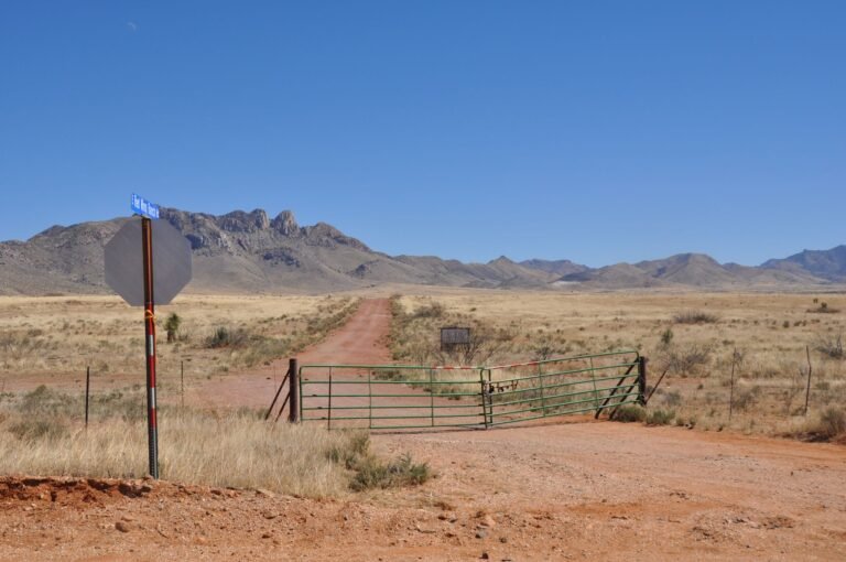 Ranch gate and dirt road on open grassland below the mountains near Valentine, West Texas