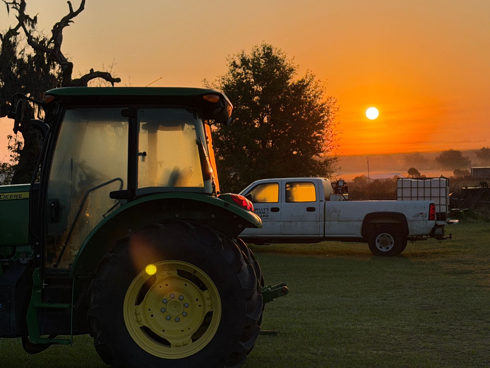 A tractor and a farm pickup parked on open pasture at sunrise on a rural Florida farm, with a live oak draped in Spanish moss and mist along the horizon.