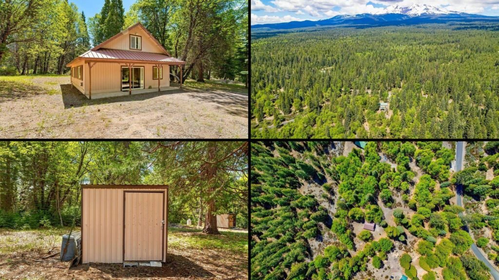 Exterior and land collage of a cheap mountain cabin on 2.4 acres for sale in McCloud, California