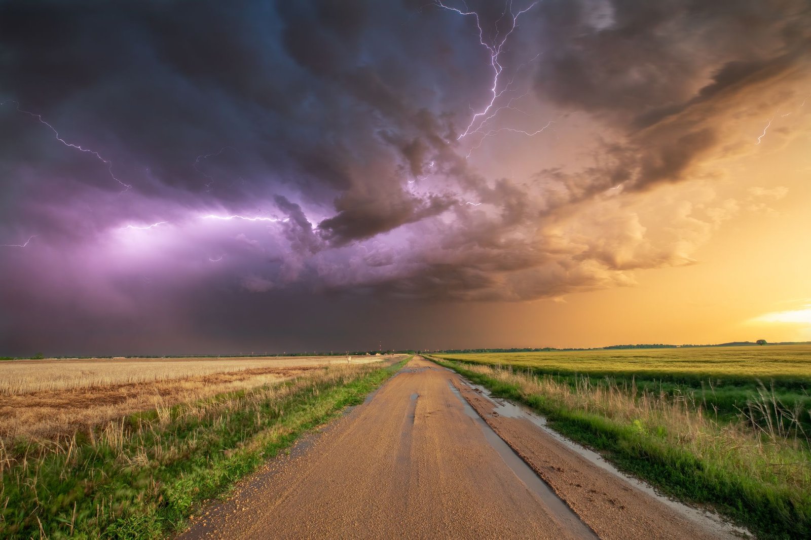 Lightning and storm clouds over a wheat field and dirt road in Oklahoma