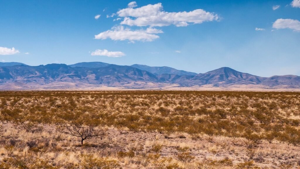 Desert grazing land in New Mexico with a wire fence and distant mountains