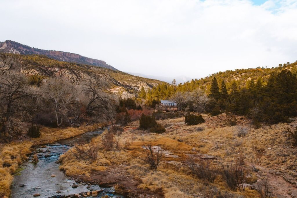 Mountain creek running past a cabin in the trees in northern New Mexico
