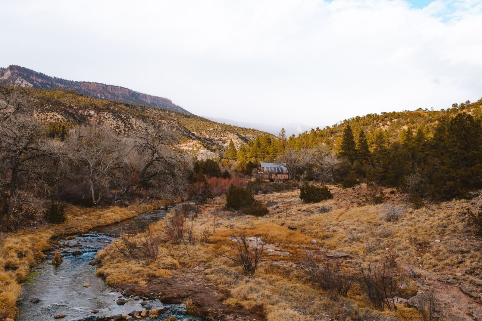 Mountain creek running past a cabin in the trees in northern New Mexico
