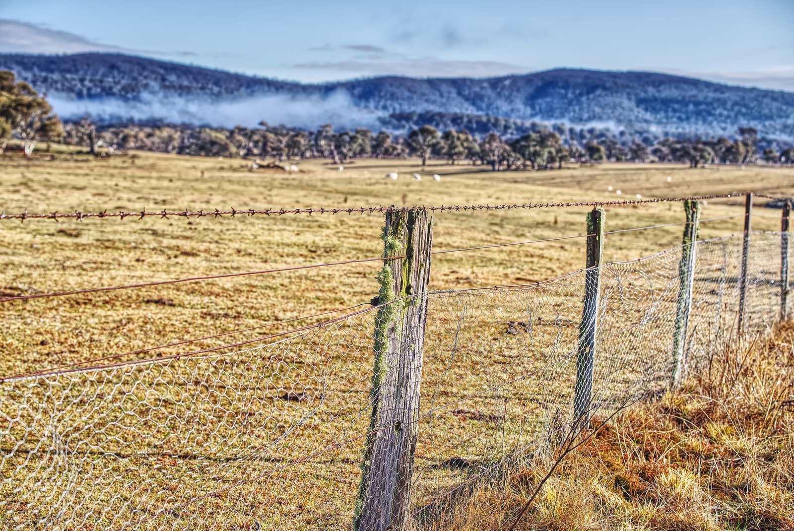 Open pasture and fence line stretching toward distant mountains on rural acreage