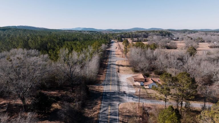 Pine woods along a county road in the Alabama Piedmont