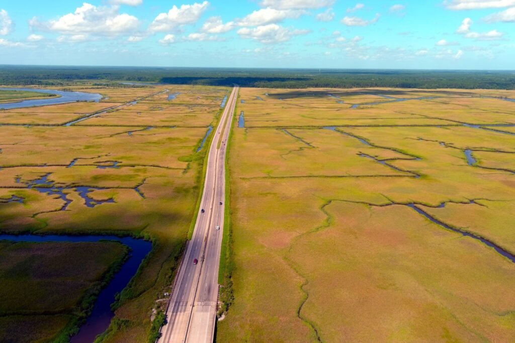 Aerial view of a two-lane road running straight across golden marshland in South Carolina