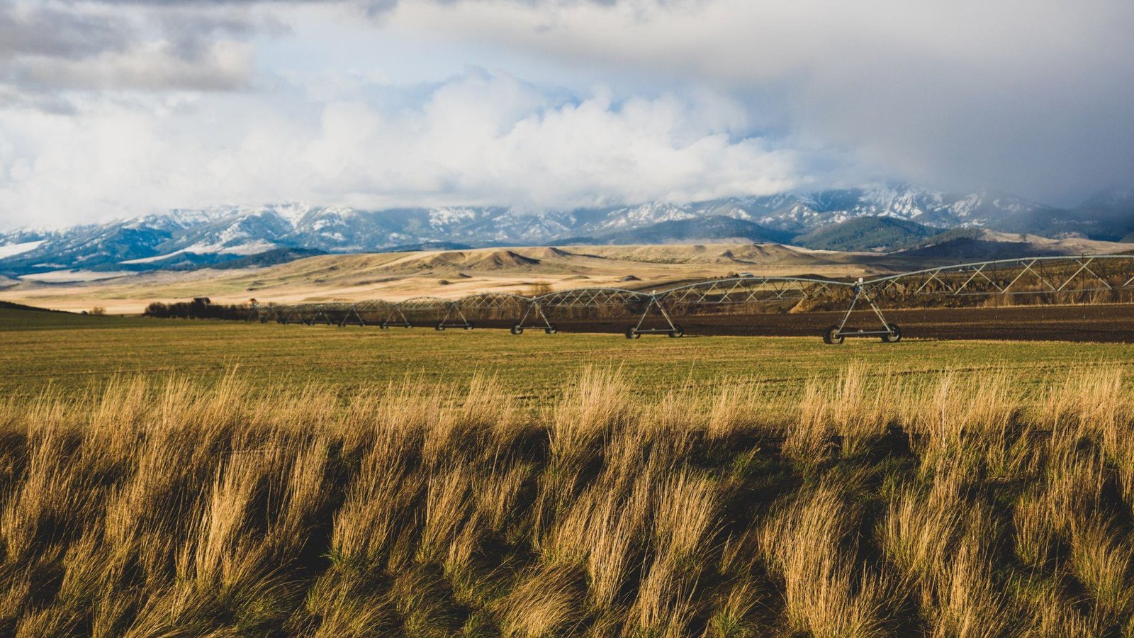 Irrigated farmland below the mountains in Montana