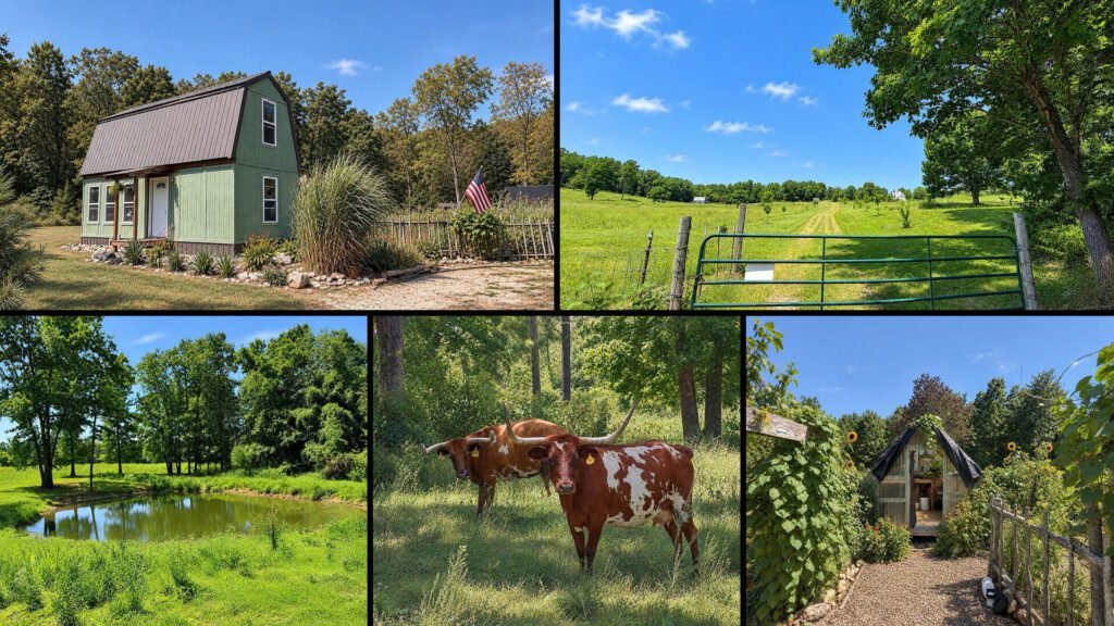 Exterior and land collage of a cheap farmhouse on 78.79 acres for sale in West Plains, Missouri