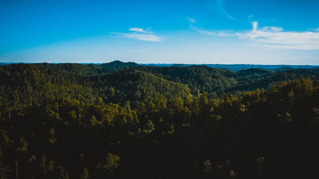 Rolling forested ridges near Roanoke in Lewis County, central West Virginia