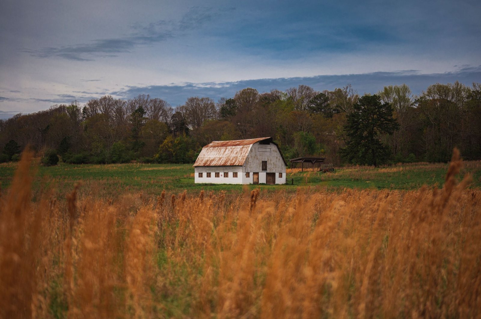 White barn in an open field of tall autumn grass in rural Georgia, north of Atlanta