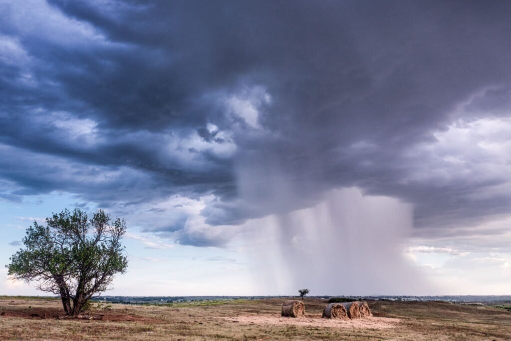 Round hay bales and a lone tree under a rain shower on the Oklahoma plains