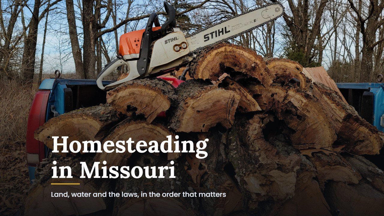 Homesteading in Missouri guide cover over firewood and a chainsaw in a Wheatland, Missouri woodlot
