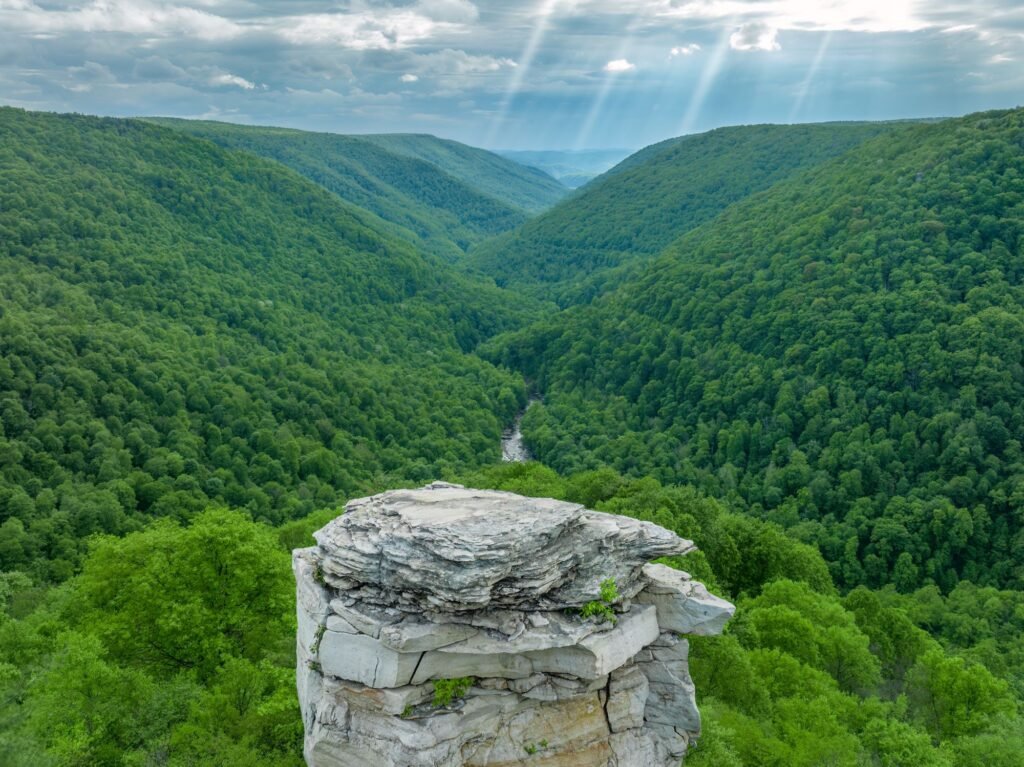 View from Lindy Point over the Blackwater Canyon in Tucker County, West Virginia
