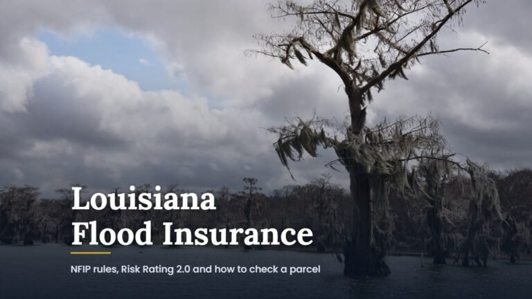 Louisiana flood insurance guide cover over a lone moss-draped cypress standing in swamp water in Louisiana