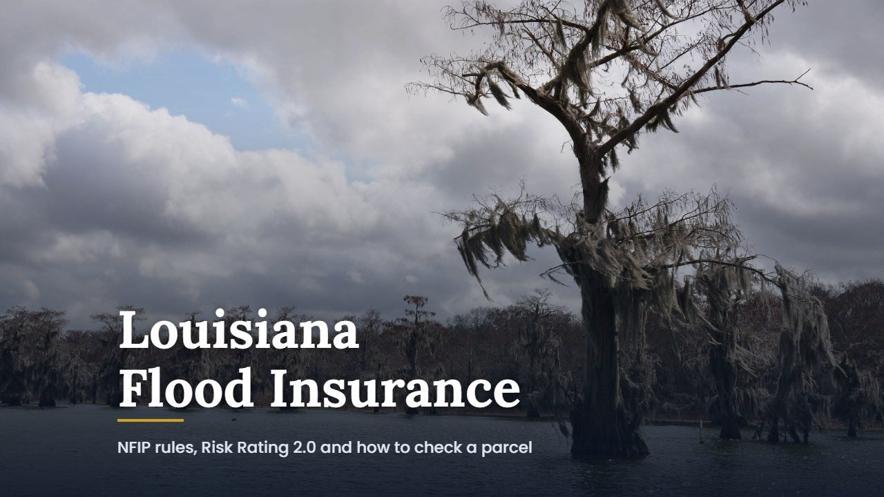Louisiana flood insurance guide cover over a lone moss-draped cypress standing in swamp water in Louisiana