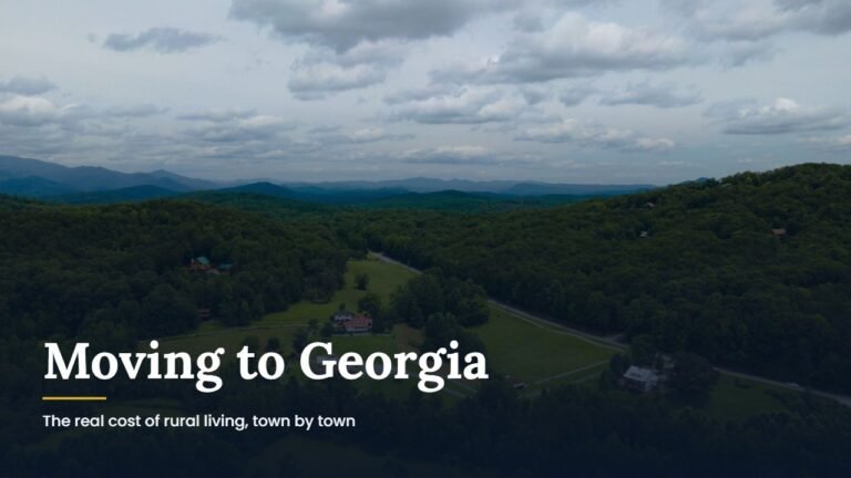 Moving to Georgia: aerial view of farmland and mountains near Cleveland, White County, Georgia