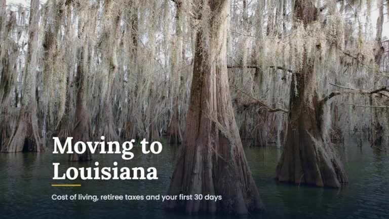 Moving to Louisiana guide cover over cypress trees draped in Spanish moss in a Louisiana swamp