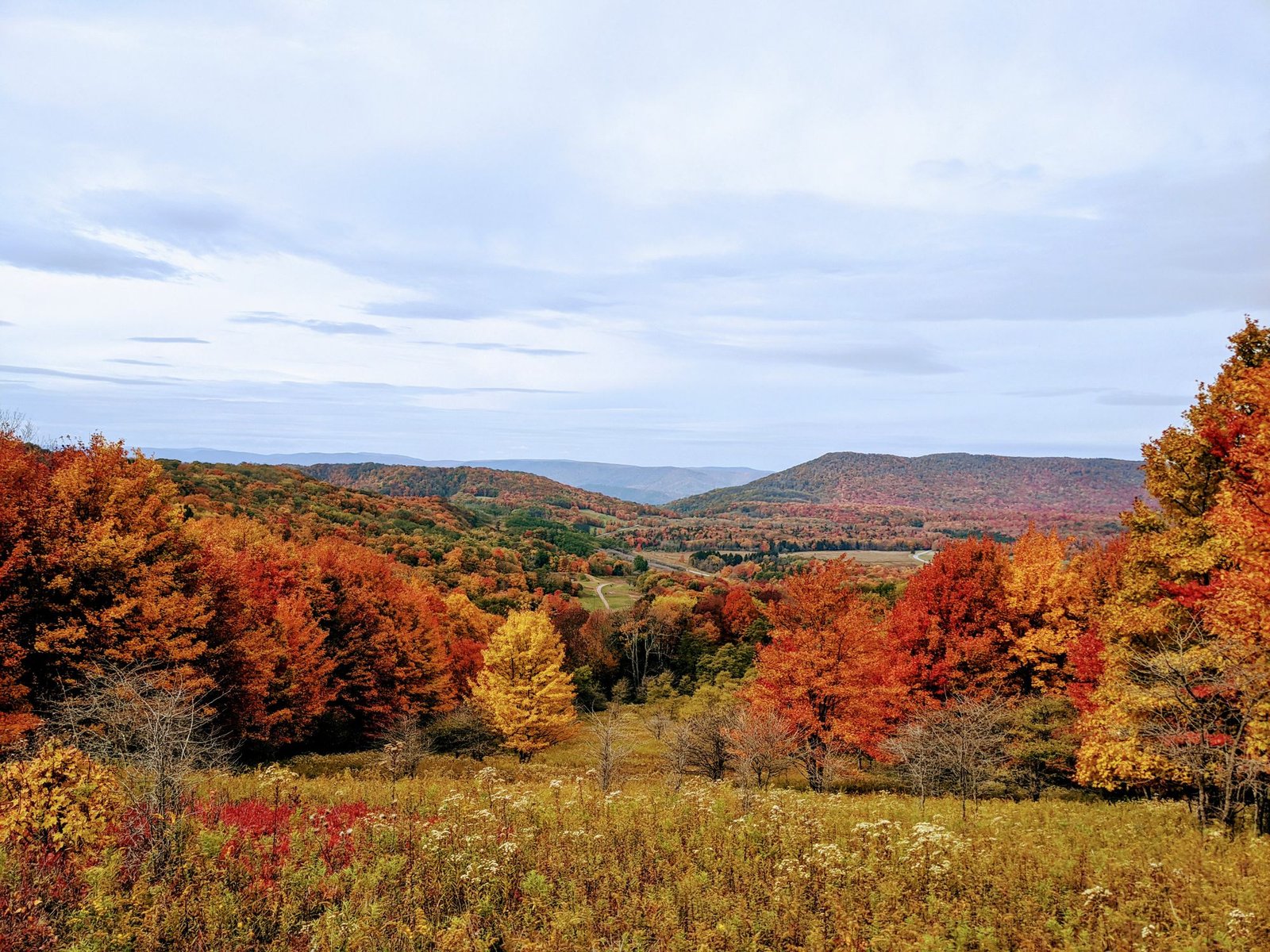 Autumn trees and open pasture below the mountains near Davis, Tucker County, West Virginia