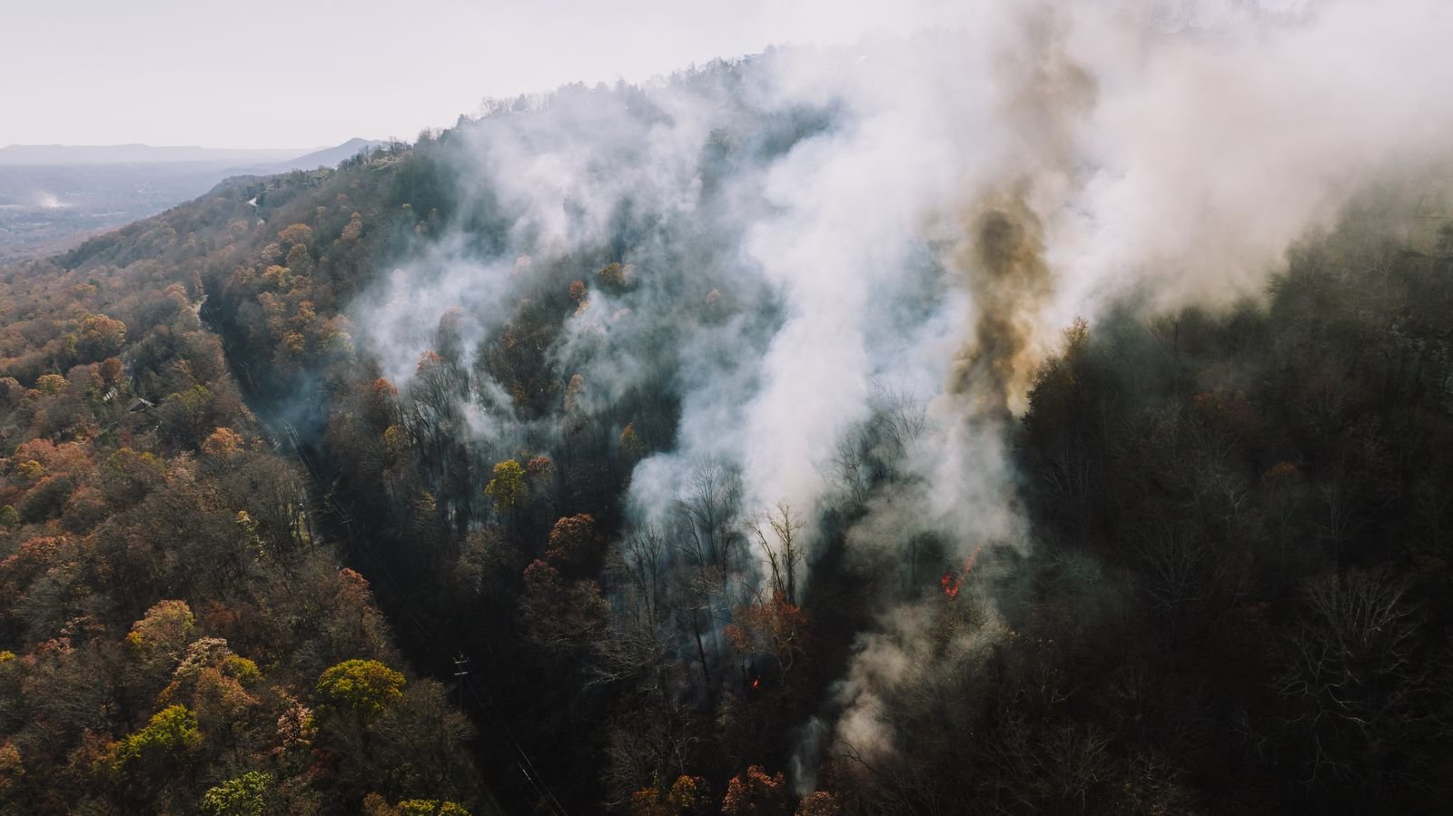 Smoke rising from a forest fire near Chattanooga, Tennessee, the wildfire exposure behind many log home insurance decisions