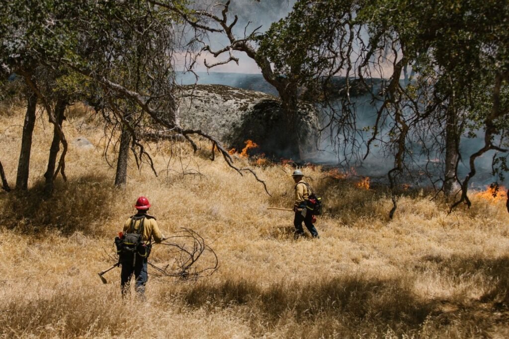 Wildland firefighters working a grass fire under oak trees in rural California