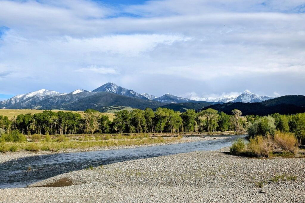 Wide gravel-bar river with cottonwoods and snow-capped peaks near Livingston, Montana